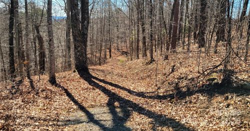 6955 Silver Creek Ln, Morganton, NC, 28655-7114 | Card Image