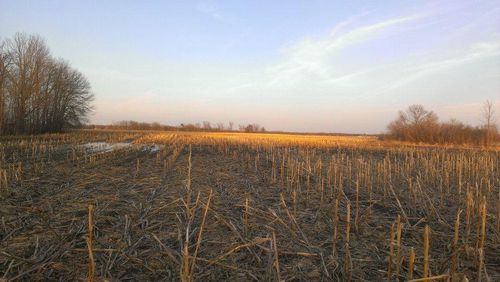 TBD 16-005-0102 Mille Lacs County, Princeton, MN, 55371 | Card Image