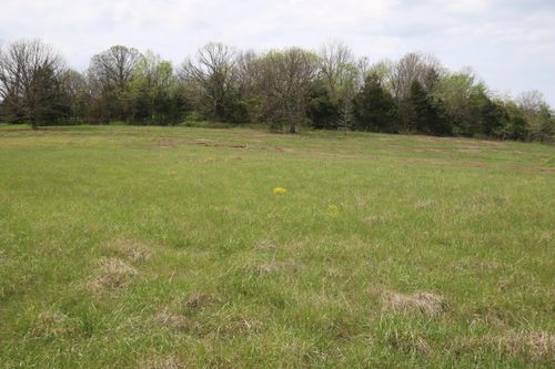 lot-11-000 River Pass Dr, Marshfield, MO, 65706 | Card Image
