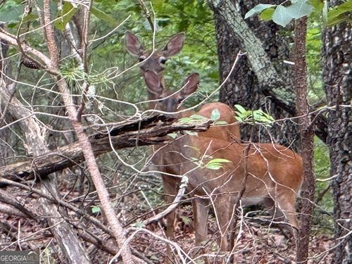 LOT 26 Whippoorwill Way, Alto, GA, 30510 | Card Image