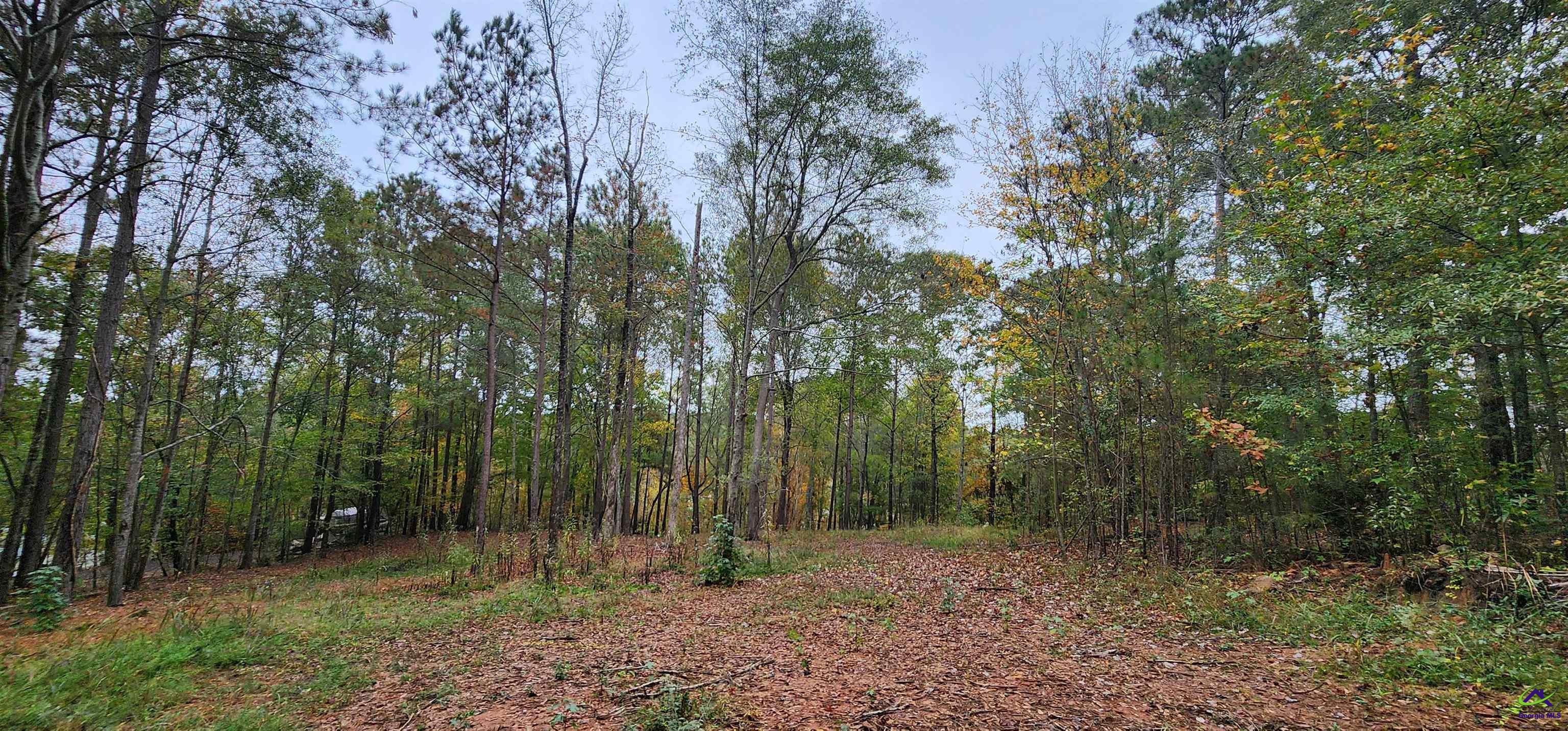 Land in Monticello 4