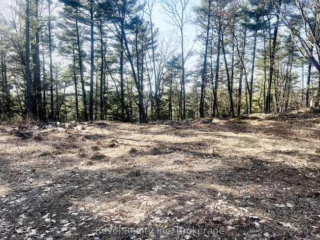 88 Louisa St, Home with 0 bedrooms, 0 bathrooms and null parking in Parry Sound ON | Image 6