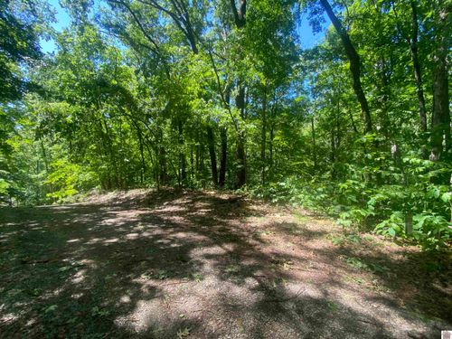 Lot #11 Barkley Shores, Cadiz, KY, 42211 | Card Image