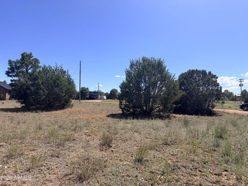 165-2287 Meadow Ln, Overgaard, AZ, 85933-5251 | Card Image