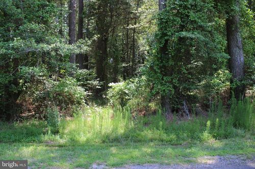 1075 Amidship Dr, GREENBACKVILLE, VA, 23356 | Card Image