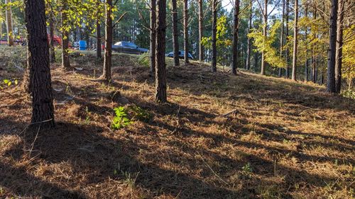 309 Summit Dr, Linden, TN, 37096-2120 | Card Image