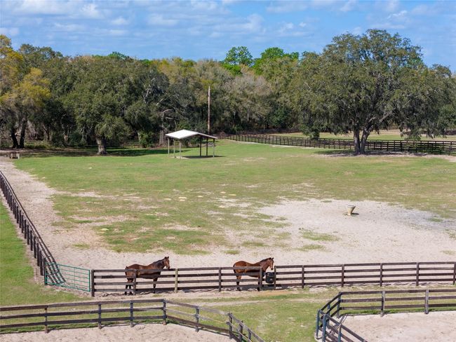 Another paddock | Image 11