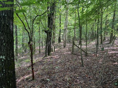 0 Indian Mountain Trl, Hamilton, GA, 31811 | Card Image