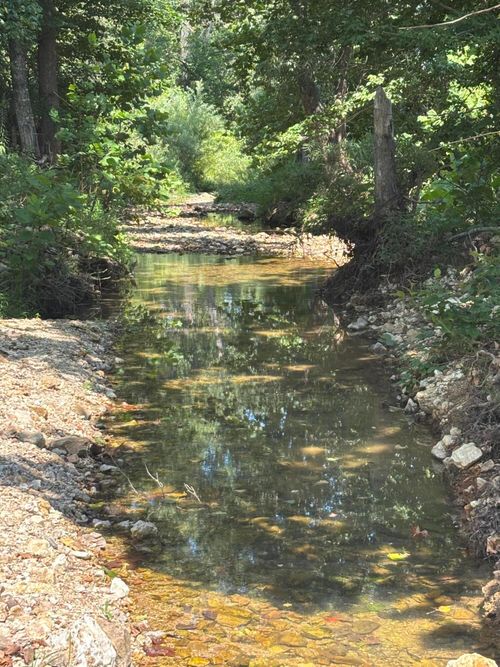000 County Road 534, Ellington, MO, 63638 | Card Image
