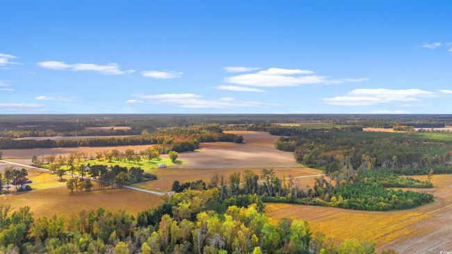 17 Arnette Rd., Home with 0 bedrooms, 0 bathrooms and null parking in Dillon SC | Image 5