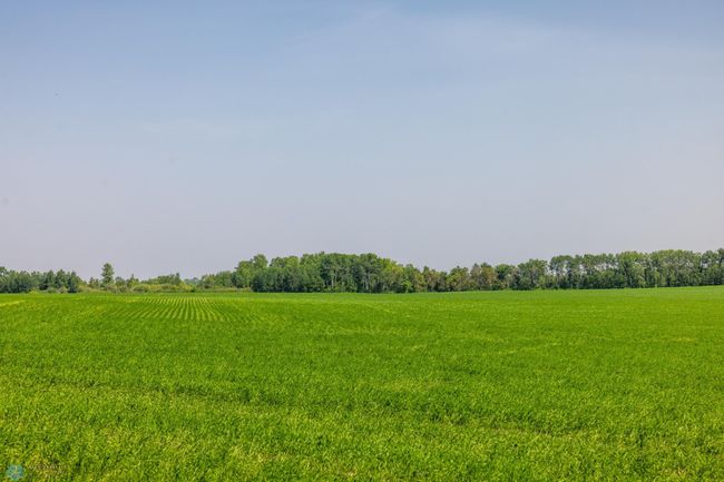 Amdak__Fosston MN - Land_0008.jpg | Image 9
