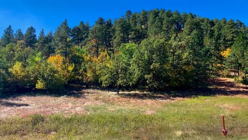 1135 W Woodland Dr, Spearfish, SD, 57783-9507 | Card Image