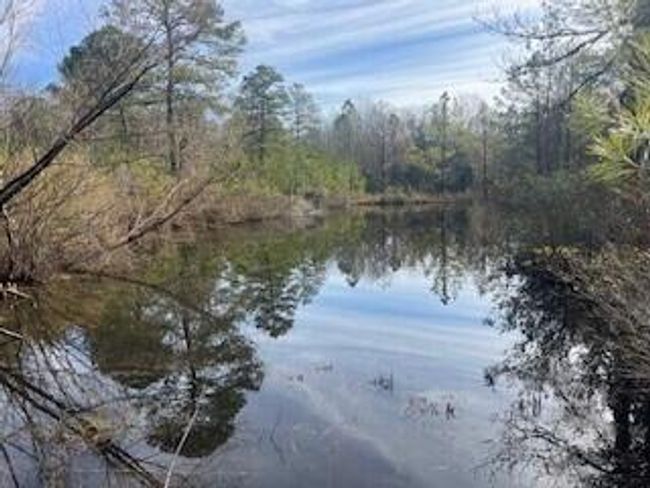3365 Columbia Hwy N, Home with 0 bedrooms, 0 bathrooms and null parking in Ridge Spring SC | Image 7
