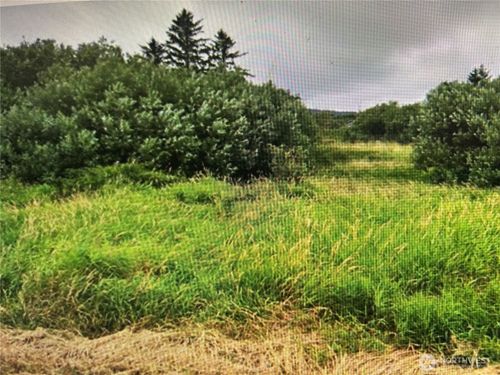 258 Stringtown Rd, Ilwaco, WA, 98624-9027 | Card Image