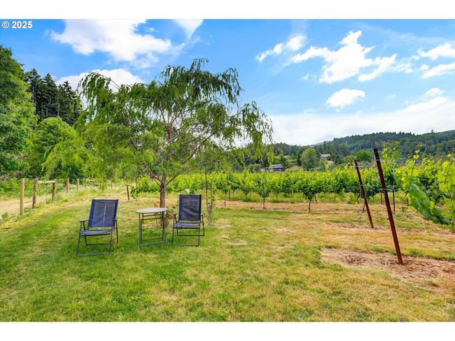 47266 Sw Carpenter Creek Rd, House other with 5 bedrooms, 6 bathrooms and 3 parking in Forest Grove OR | Image 35