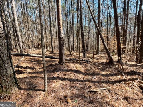 3-0 Joe Cook Rd, Franklin, GA, 30217 | Card Image