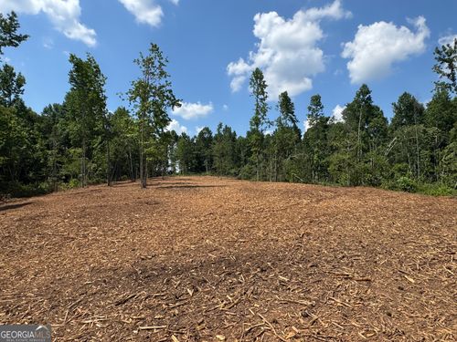 LOT 4 Happy Hollow Rd, ROOPVILLE, GA, 30170 | Card Image