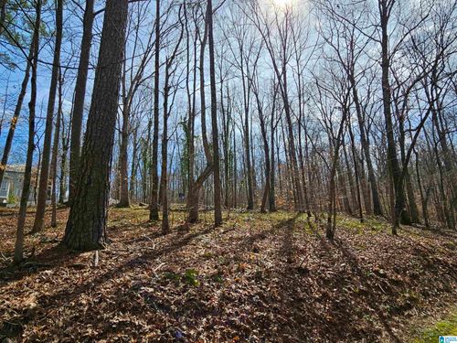 0-155 S Hollow Rd, HAYDEN, AL, 35079-7029 | Card Image