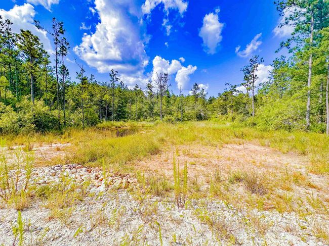 9010 Carter Ranch Rd, Home with 0 bedrooms, 0 bathrooms and null parking in Kountze TX | Image 7