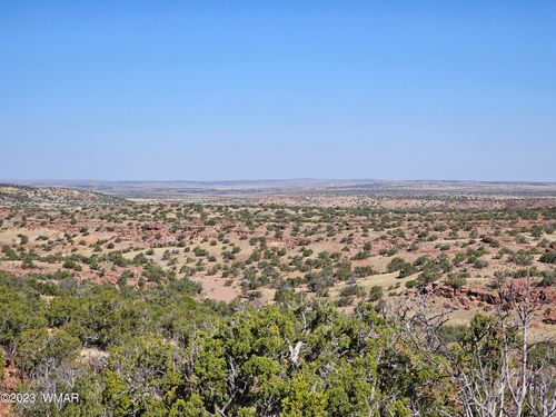 TBD N6448, St. Johns, AZ, 85936 | Card Image
