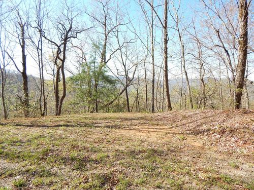 8-2-10-2 Tree Top Drive, Hayesville, NC, 28904 | Card Image