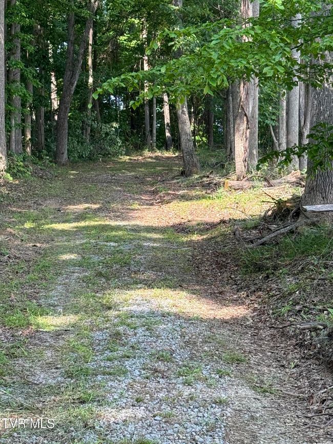 00 Heavens View Ln, Home with 0 bedrooms, 0 bathrooms and null parking in Gate City VA | Image 24
