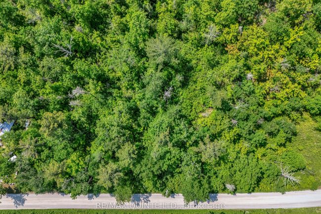 0 Forest Park Rd, Home with 0 bedrooms, 0 bathrooms and null parking in Marmora ON | Image 11