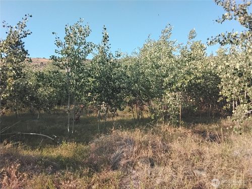 4 Painted Rock Road, Tonasket, WA, 98855 | Card Image