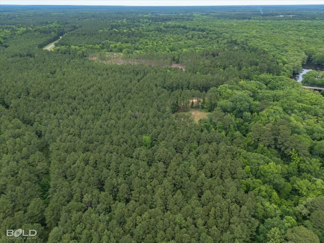 0 Highway 157, Home with 0 bedrooms, 0 bathrooms and null parking in Benton LA | Image 8