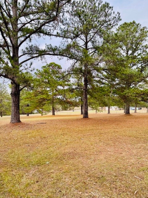 Manufactured In Park in Eufaula 5