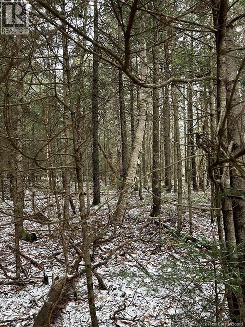 3 Backland Rd, Kingston, NB, E5N | Card Image