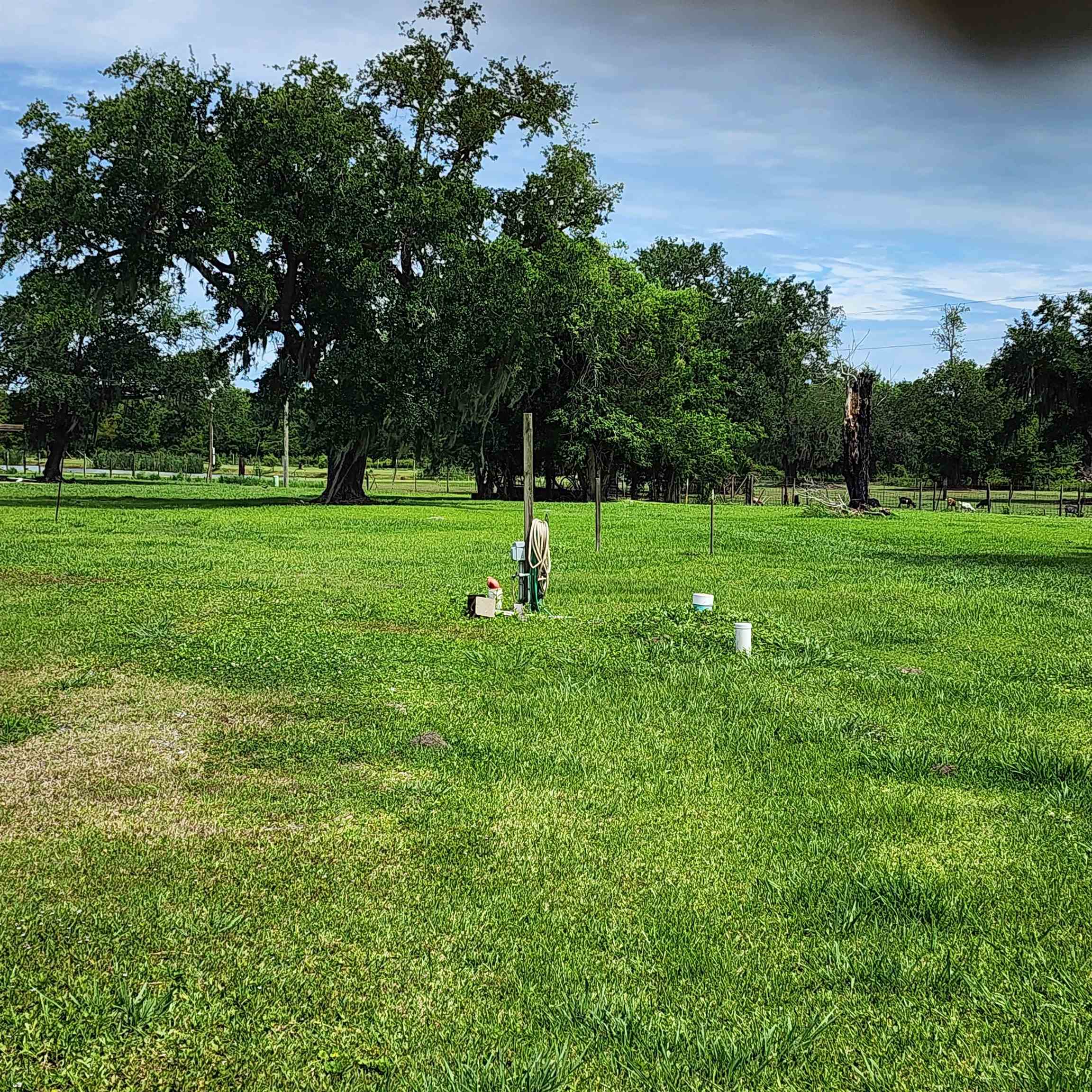 2213 Bayou Dularge Rd, Theriot, LA 70397