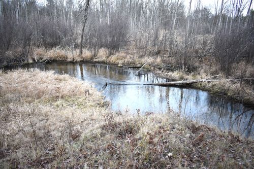 646 W 3 Mile Road, Luther, MI, 49656 | Card Image