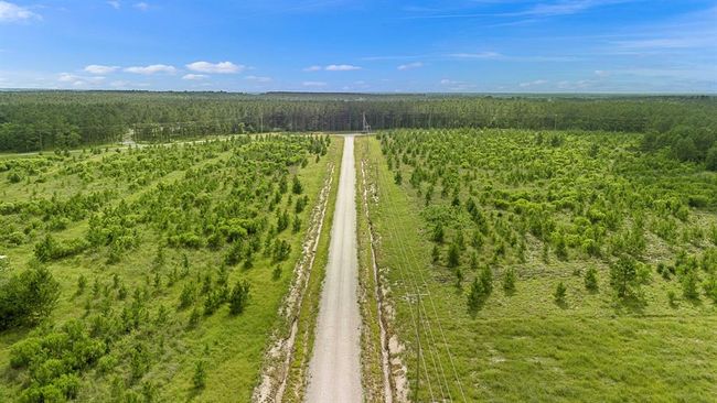 3340 Taylor Trl, Home with 0 bedrooms, 0 bathrooms and null parking in Lovelady TX | Image 8