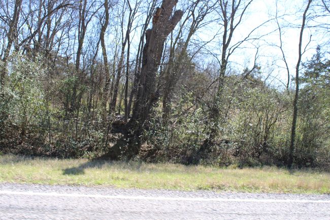 8738 Us Highway 67, Home with 0 bedrooms, 0 bathrooms and null parking in Saltillo TX | Image 13