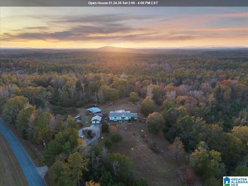 1660 Feddisburg Rd, ALPINE, AL, 35014-6608 | Card Image