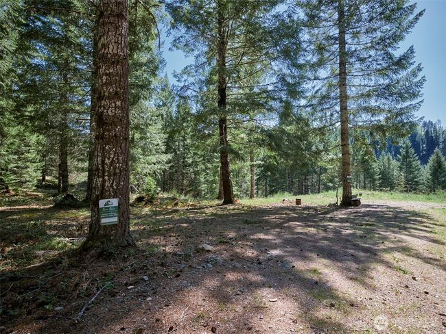 Cleared area | Image 8