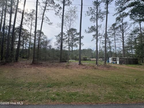 0 Pine Tree Ln, Bayboro, NC, 28515 | Card Image
