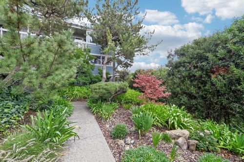 apt-206-290 Via Casitas, Greenbrae, CA, 94904-2303 | Card Image