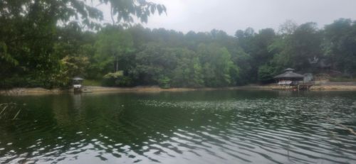 Lot 4 Longview Estates Dr, Goodview, VA, 24095 | Card Image