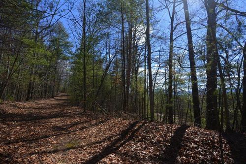 53-51-53 Hickory Ln, Robbinsville, NC, 28771 | Card Image