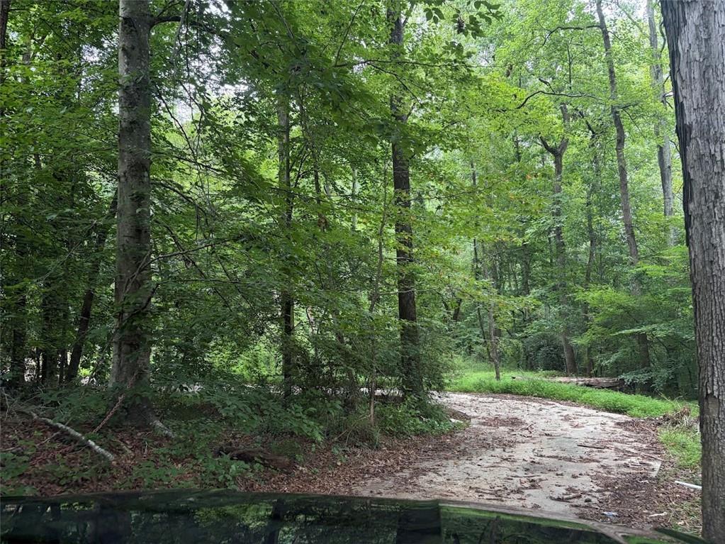 Land in Ellenwood 3