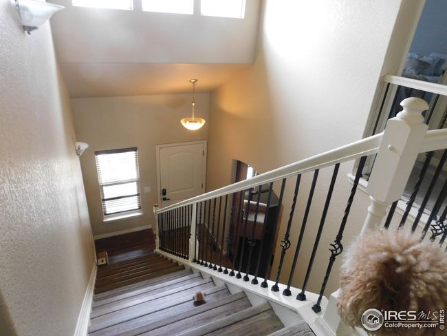 548 Dakota Way, House other with 6 bedrooms, 4 bathrooms and null parking in Windsor CO | Image 19