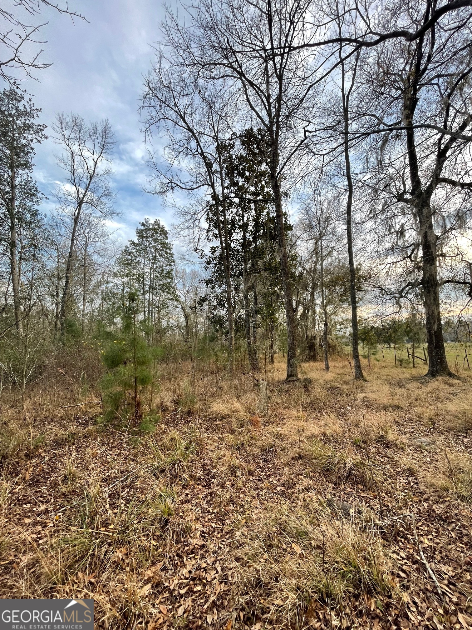 Chancy Dr, Hahira, GA 31632