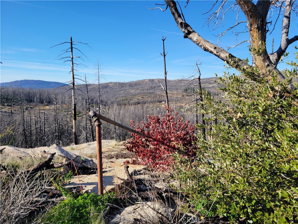 Land in Berry Creek 3
