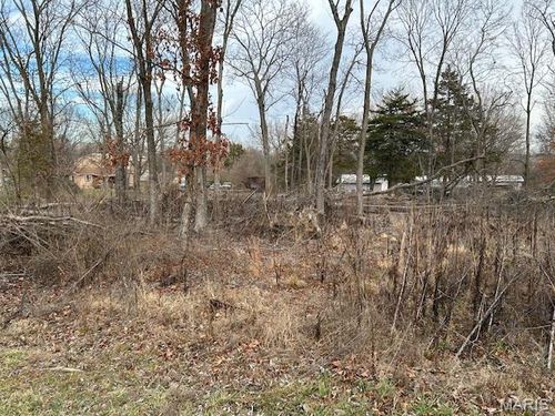 1 Grand Ave, Park Hills, MO, 63601 | Card Image