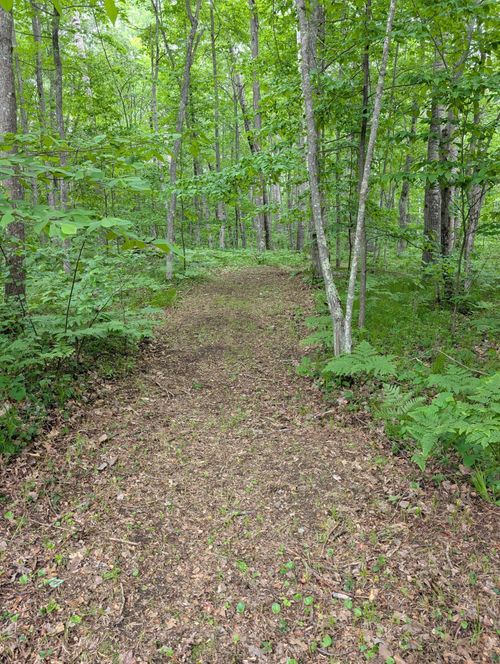 64100 E Ruth Lake Rd, IRON RIVER, WI, 54847 | Card Image