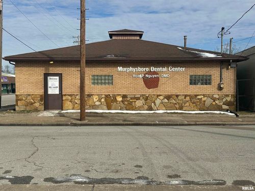 1116 Locust St, Murphysboro, IL, 62966-2119 | Card Image