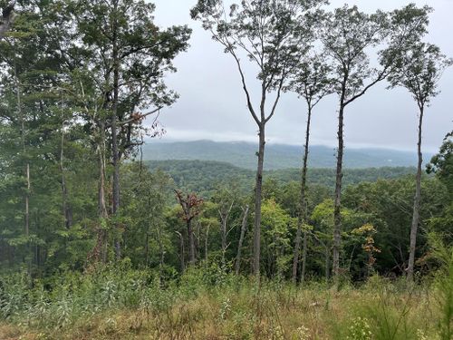 Lot 244 Mountain High Drive, Mineral Bluff, GA, 30559 | Card Image