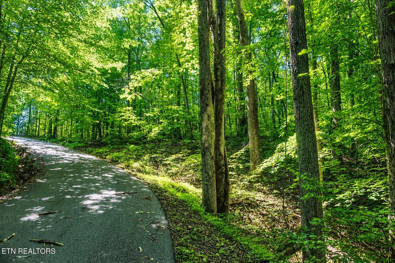 Land in Sevierville